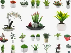 Pot Plant 24 3D models 3D model