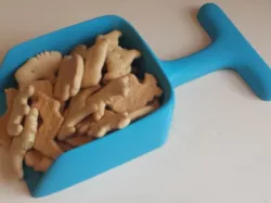 Sandbox Shovel