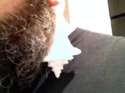 Shell earrings