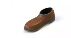 Shoe