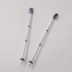 Ski Poles 3D model