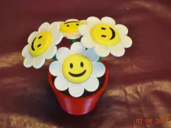 Smiley Face Flowers and Flower Pot