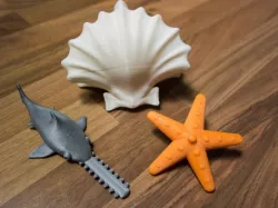 Spinning Toy: Starfish, Sawfish, Shellfish