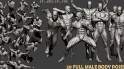 20 Male full body poses