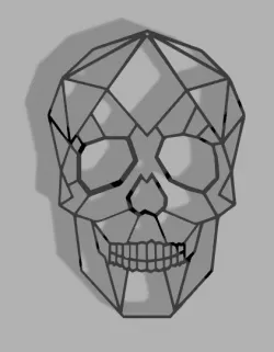 2d skull