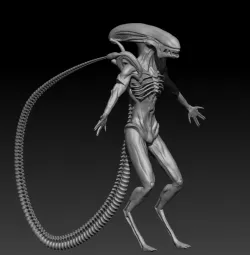 alien xenomorph