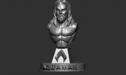 Aquaman bust