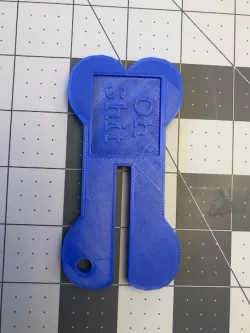 Bag Bone