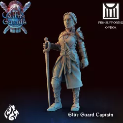 City Guard Elite Captain