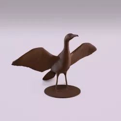Cormorant
