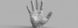 Cross-braced hand