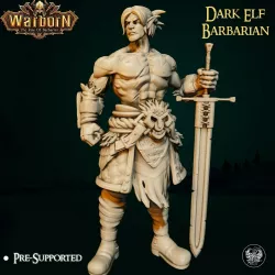 Dark Elf Barbarian