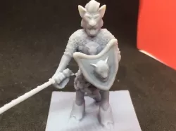 Dewey Krochboddum - Tabaxi Paladin