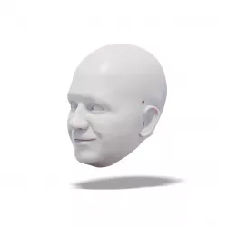 Happy Man, 3D Model of Head