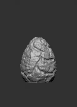 Phoeinix Egg (No Base)