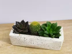 Planter -Garden planter with edges