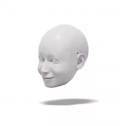 Pretty Lady, 3D Model of Head