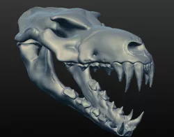 Ravager Skull