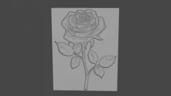 roses 3D