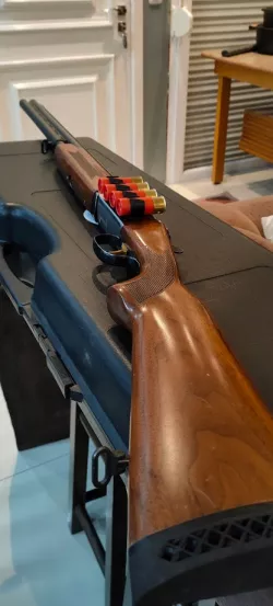 Shotgun cartridge holder