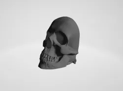 Skulls for wall decoration