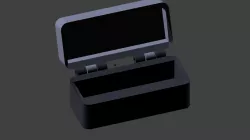 Small Hinged Box