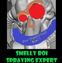 Smelly Boi Spraying Expert