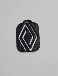 Tesla Renault key ring
