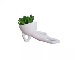 Vase Robert Plant Bob Lying Down Pot