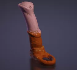 Wearabel/Penetratable Horsecock (With Mold)