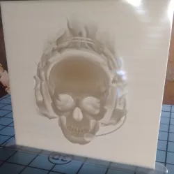 61 Lithophanes of skulls