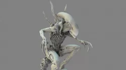 Alien Xenomorph 3D Print Model 3D print model