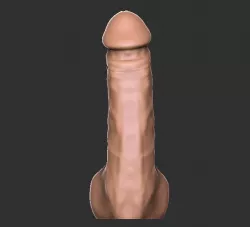 Anatomic Dildo Tula Dick