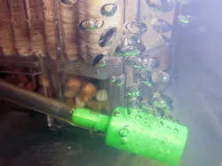 Aquarium Bubble uprise in Bubbles !
