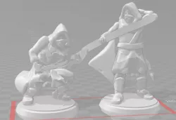 Assassin Twins