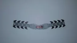 Bat Belt Ear Saver