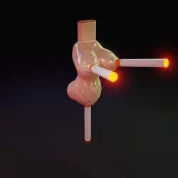 Boob Cigarettes Holder (3 slots)