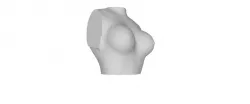 Boobs
