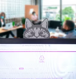 Cat peeking out. decoration for monitor, TV screen, shelves, shelves