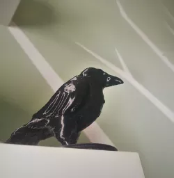 Crow