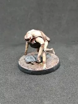 D&D spider humanoid Ettercap