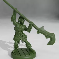 Dark Elf Polearm Fighter