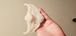 Dice Throne Samurai Mask