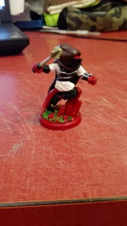 Dragonborn cleric with hood