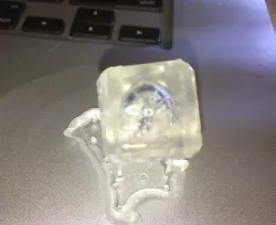 Embedded Skull Dice - Transparent SLA