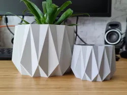 Geo Crystal Pot and planter for plants - Vase mode