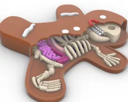 gingerbread man bone