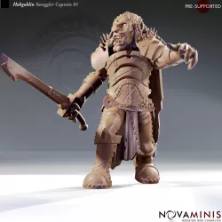 Hobgoblin Smuggler Captain 01