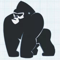 Kong
