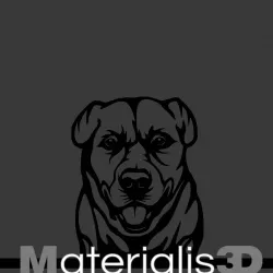 Labrador Retriever picture frame